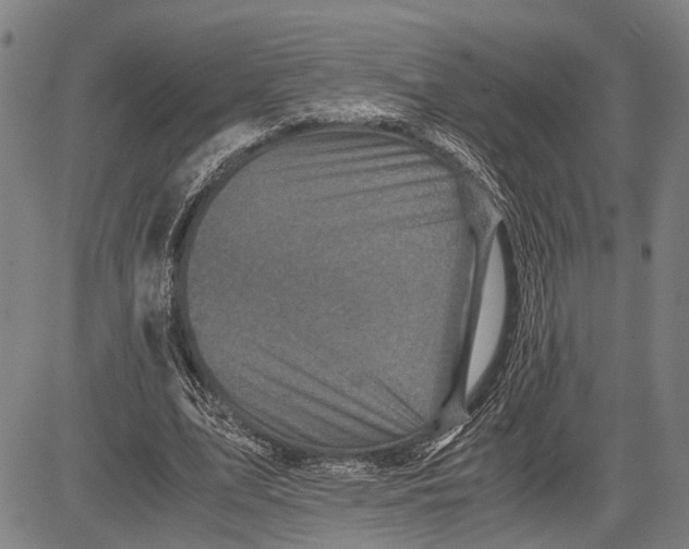X0000081410583200702021604