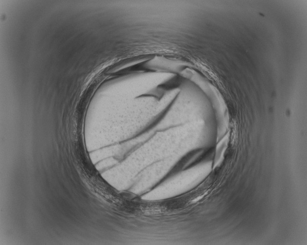 X0000081410587200702021604