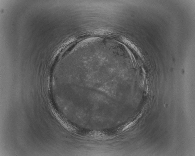 X0000081410589200702021604