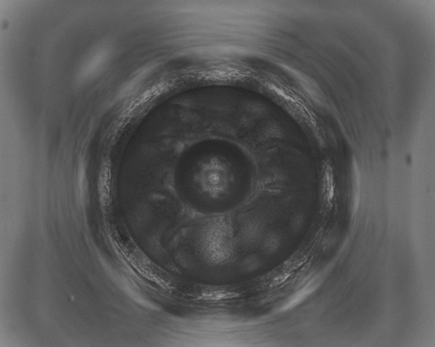 X0000081410591200702021604