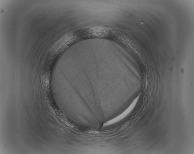 X0000081410595200702021604