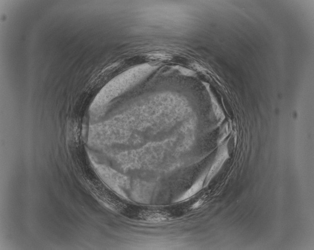 X0000081410597200702021604