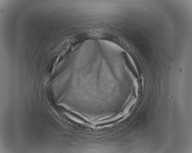 X0000081410601200702021604