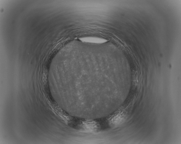 X0000081410603200702021604
