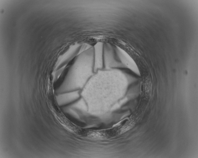 X0000081410611200702021604