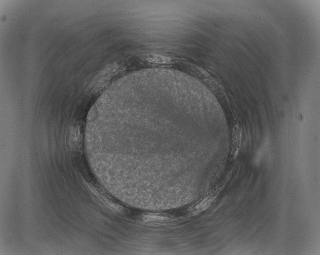 X0000081410614200702021604