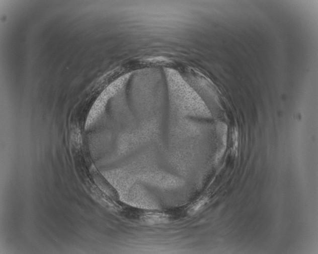 X0000081410617200702021604