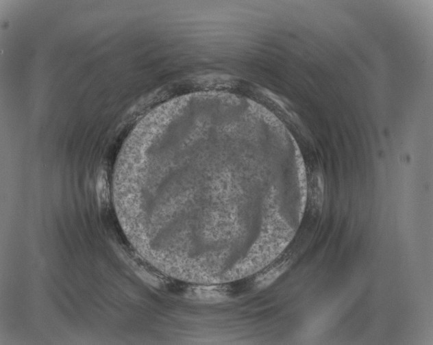 X0000081410622200702021604