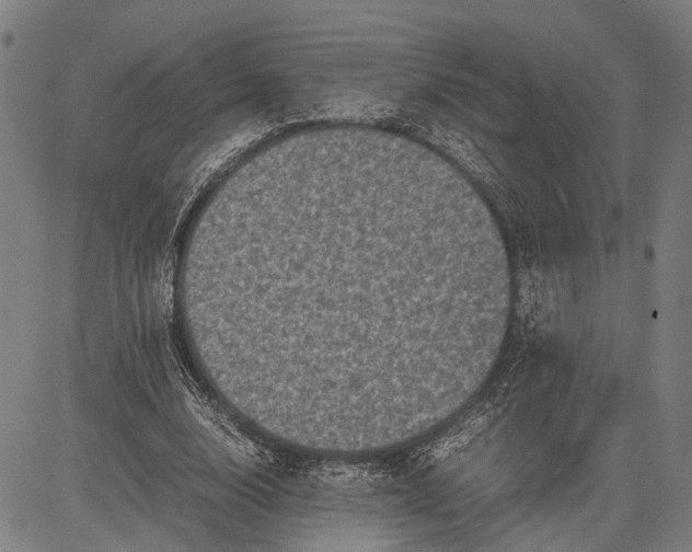 X0000081410632200702021603