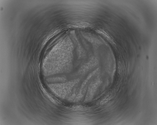 X0000081410634200702021603