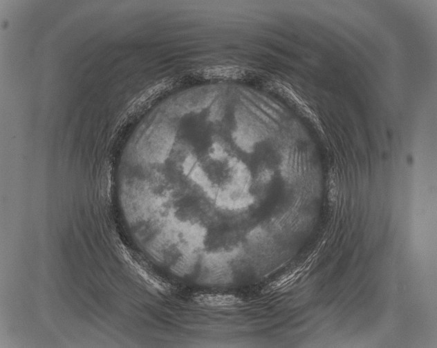 X0000081410637200702021603