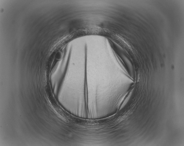 X0000081410638200702021603