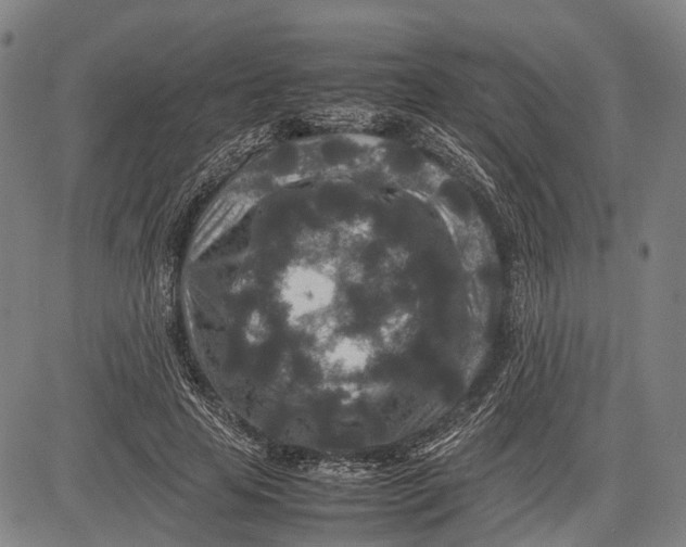 X0000081410641200702021603