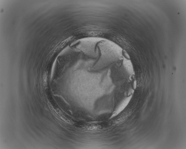 X0000081410646200702021603
