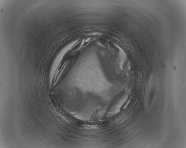 X0000081410649200702021603