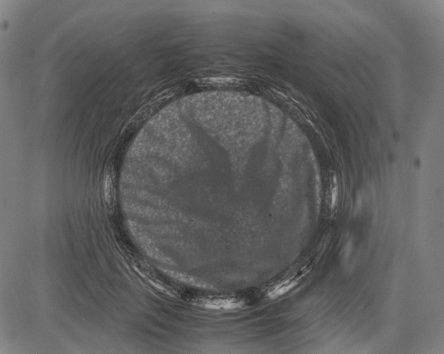 X0000081410651200702021603