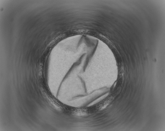 X0000081410664200702021604