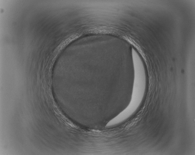 X0000081410673200702021603