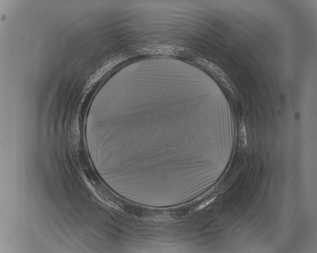 X0000081410674200702021603