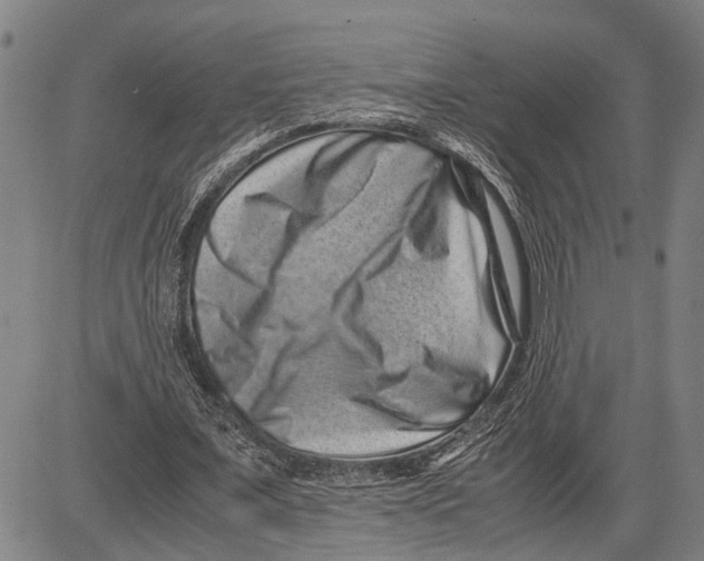 X0000081410675200702021603