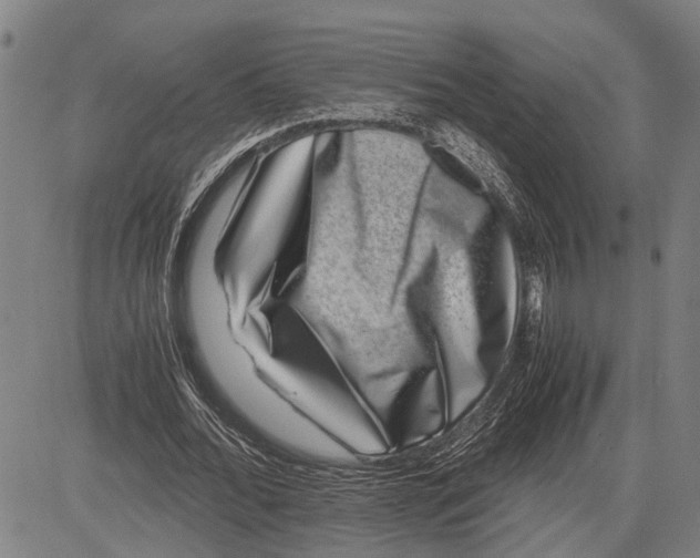 X0000081410676200702021603