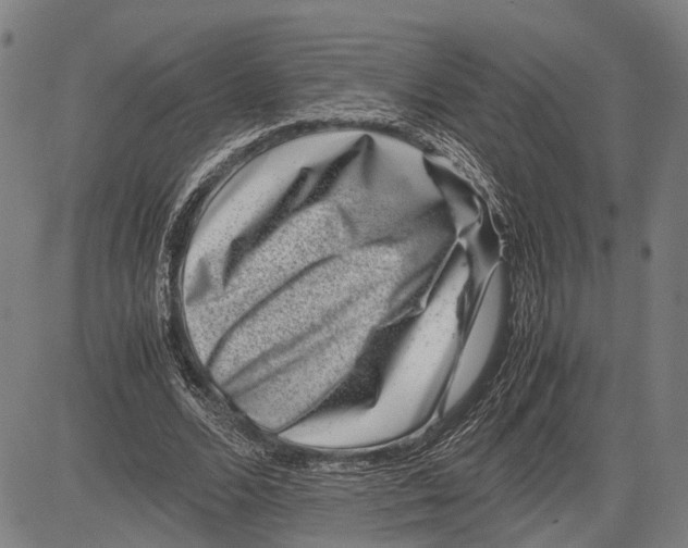 X0000081410680200702021603
