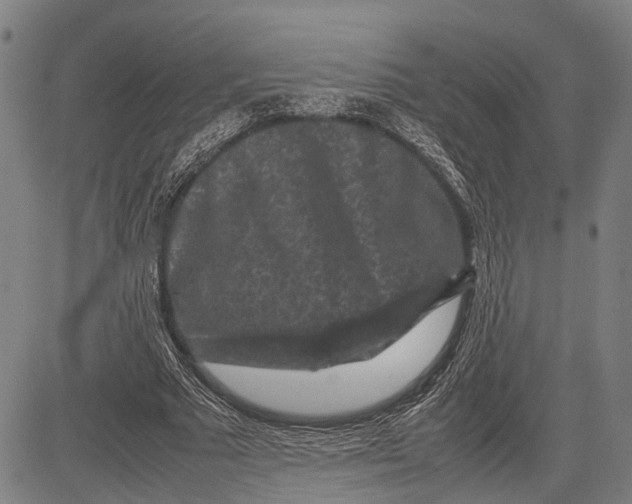 X0000081410681200702021603