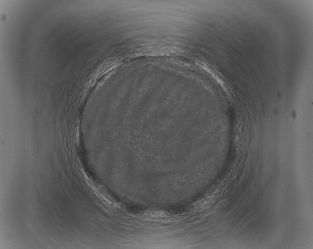X0000081410685200702021603