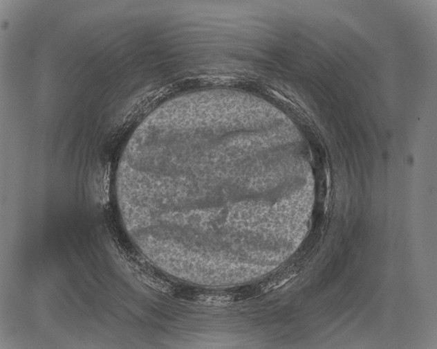 X0000081410694200702021603