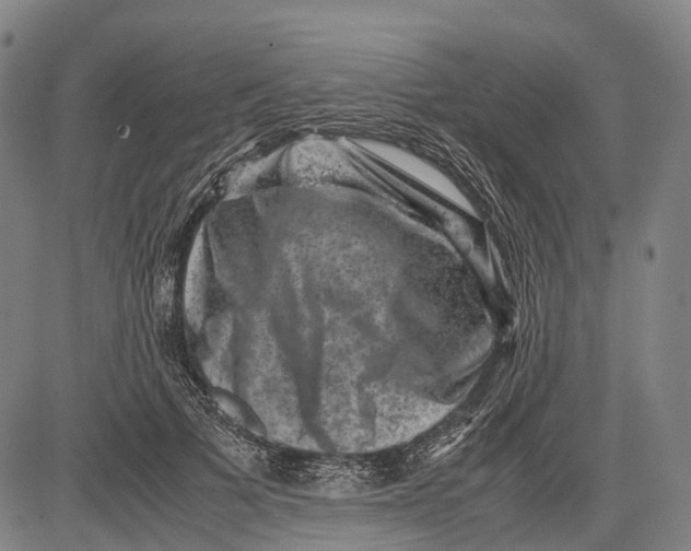 X0000081410697200702021603