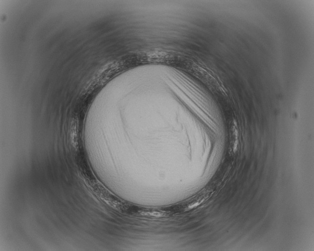 X0000081410698200702021603