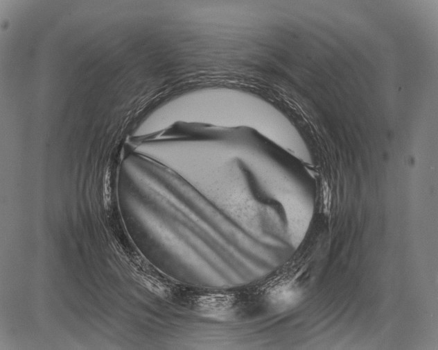 X0000081410700200702021603