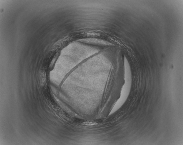 X0000081410704200702021602