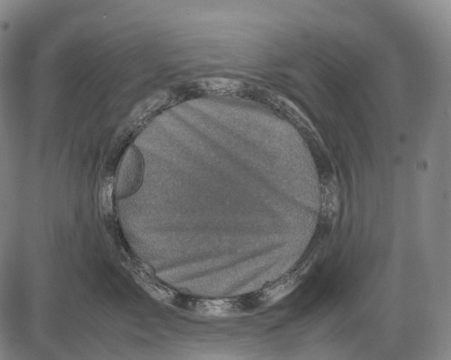 X0000081410717200702021602