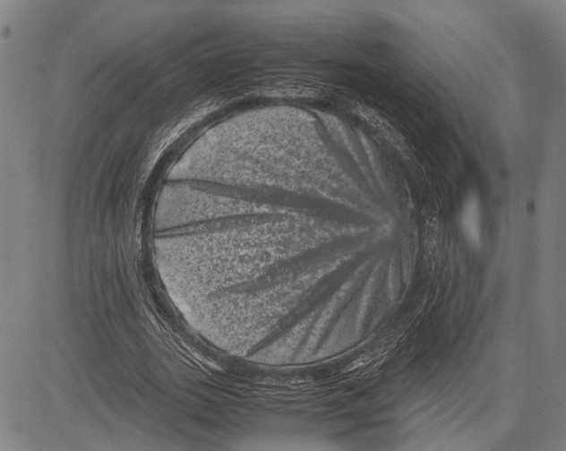 X0000081410727200702021602