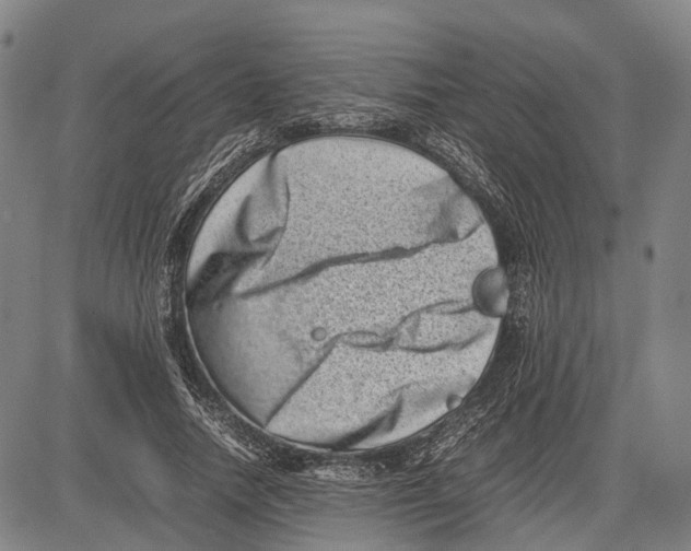X0000081410738200702021602