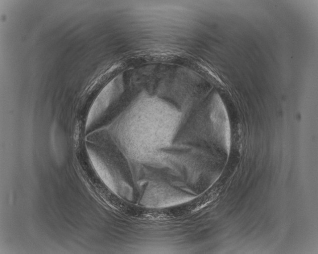 X0000081410742200702021602