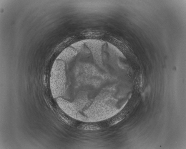 X0000081410755200702021602