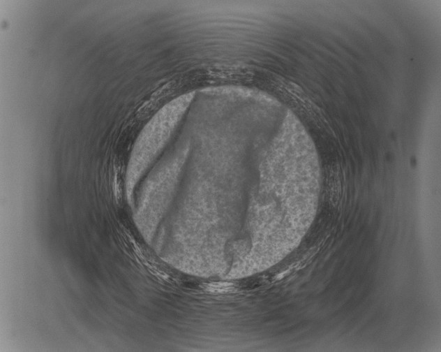 X0000081410770200702021601