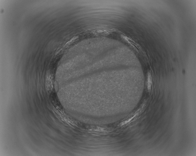 X0000081410772200702021601
