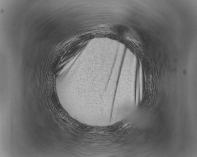 X0000081410773200702021601