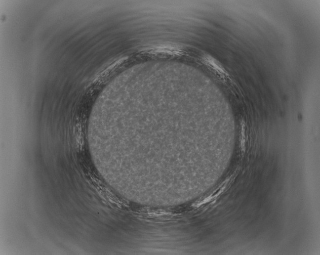X0000081410774200702021601