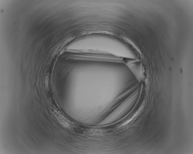 X0000081410777200702021601