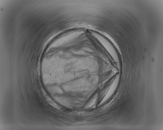 X0000081410791200702021601