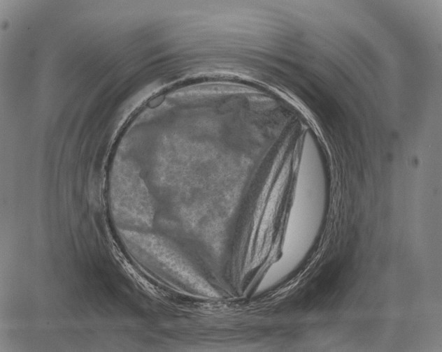 X0000081410799200702021601