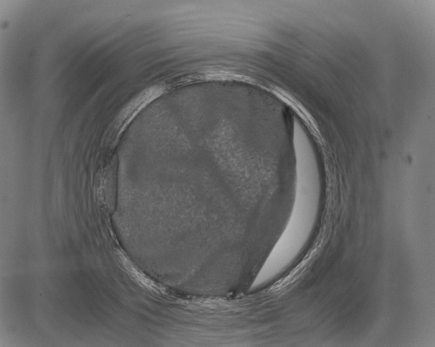 X0000081410801200702021601
