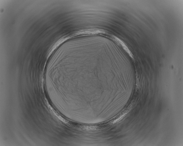X0000081410802200702021601