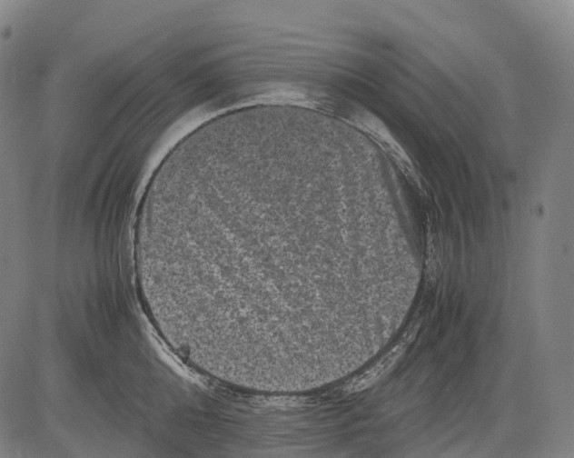 X0000081410808200702021601
