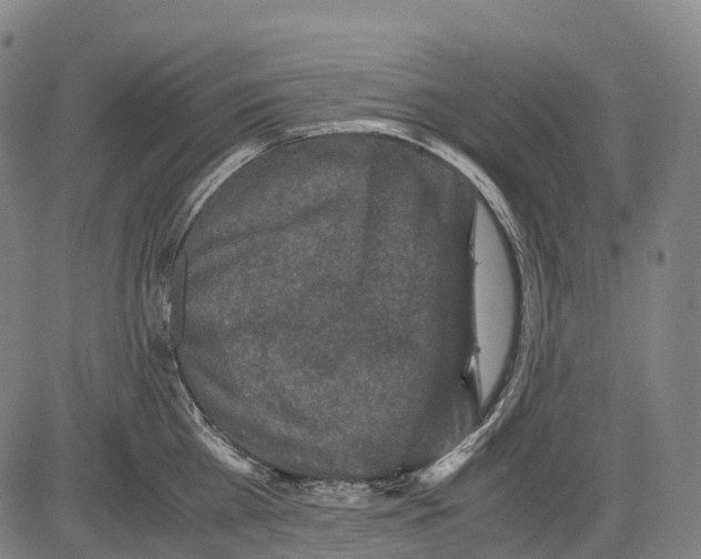 X0000081410809200702021601