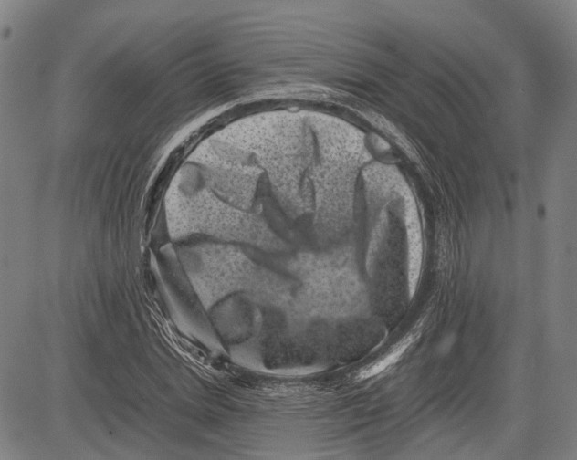 X0000081410830200702021600